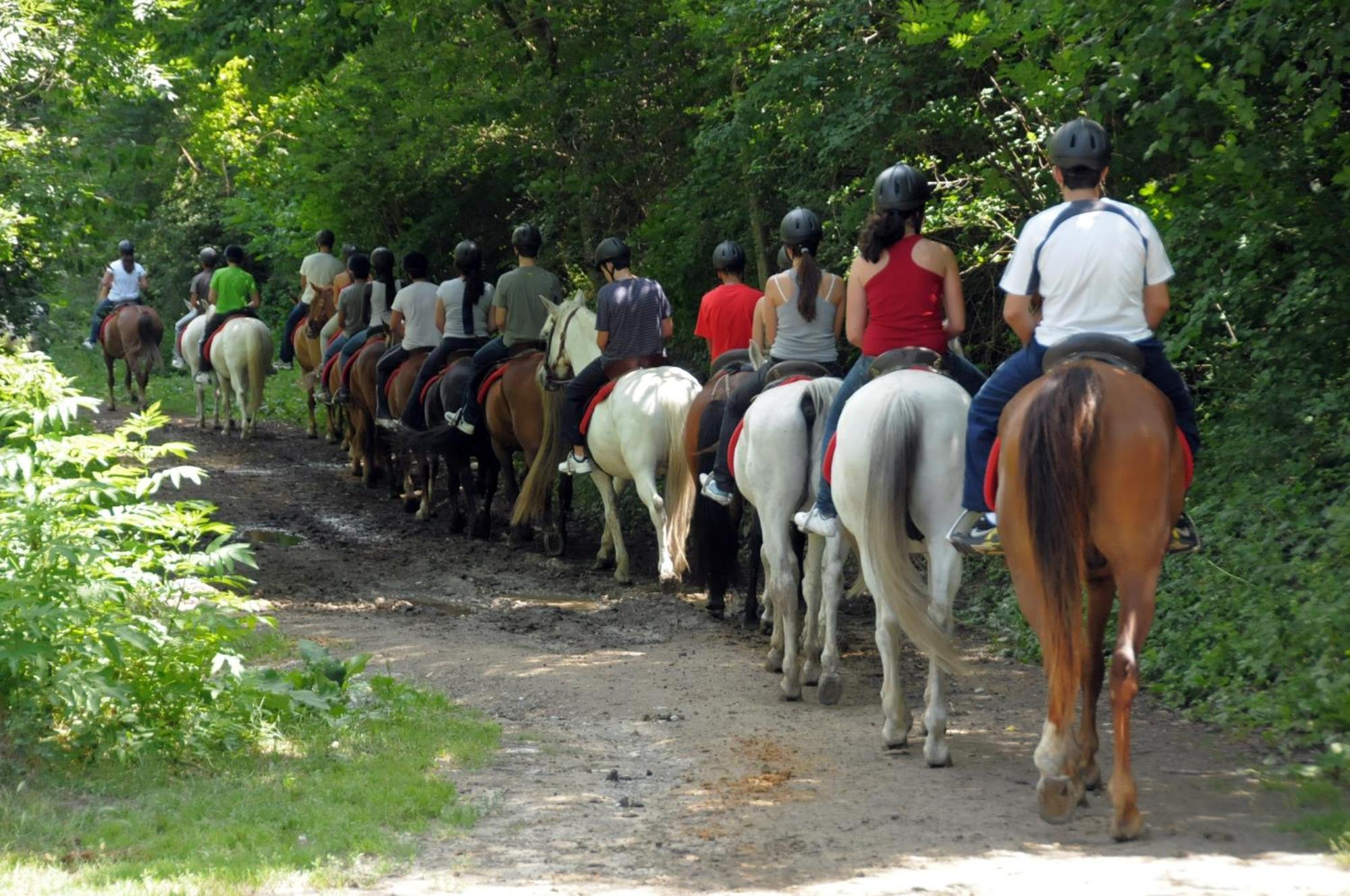 Camping Llavorsí Zewnętrze zdjęcie