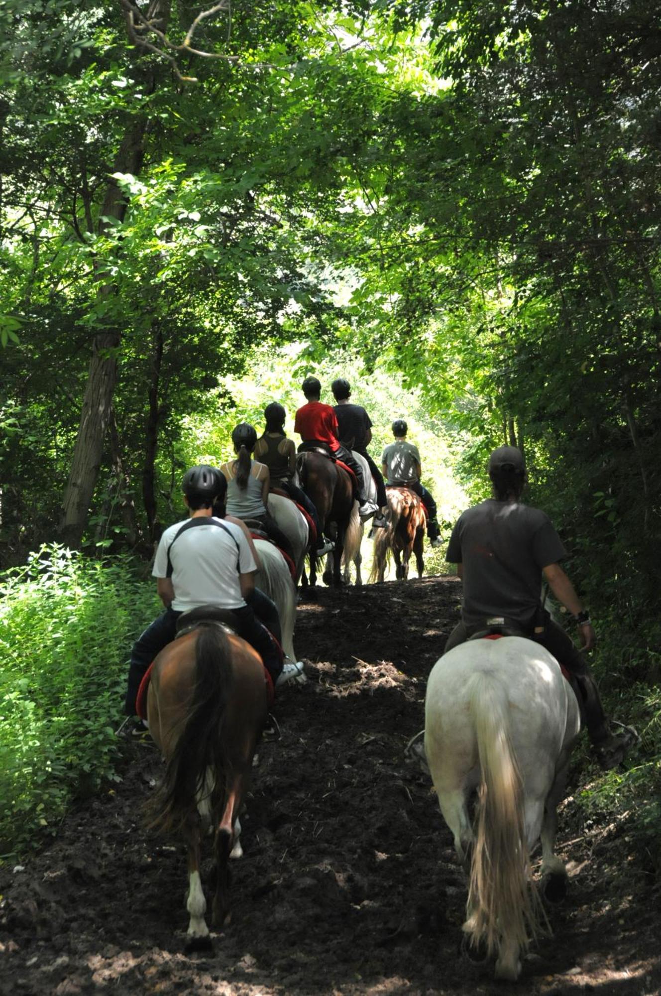 Camping Llavorsí Zewnętrze zdjęcie
