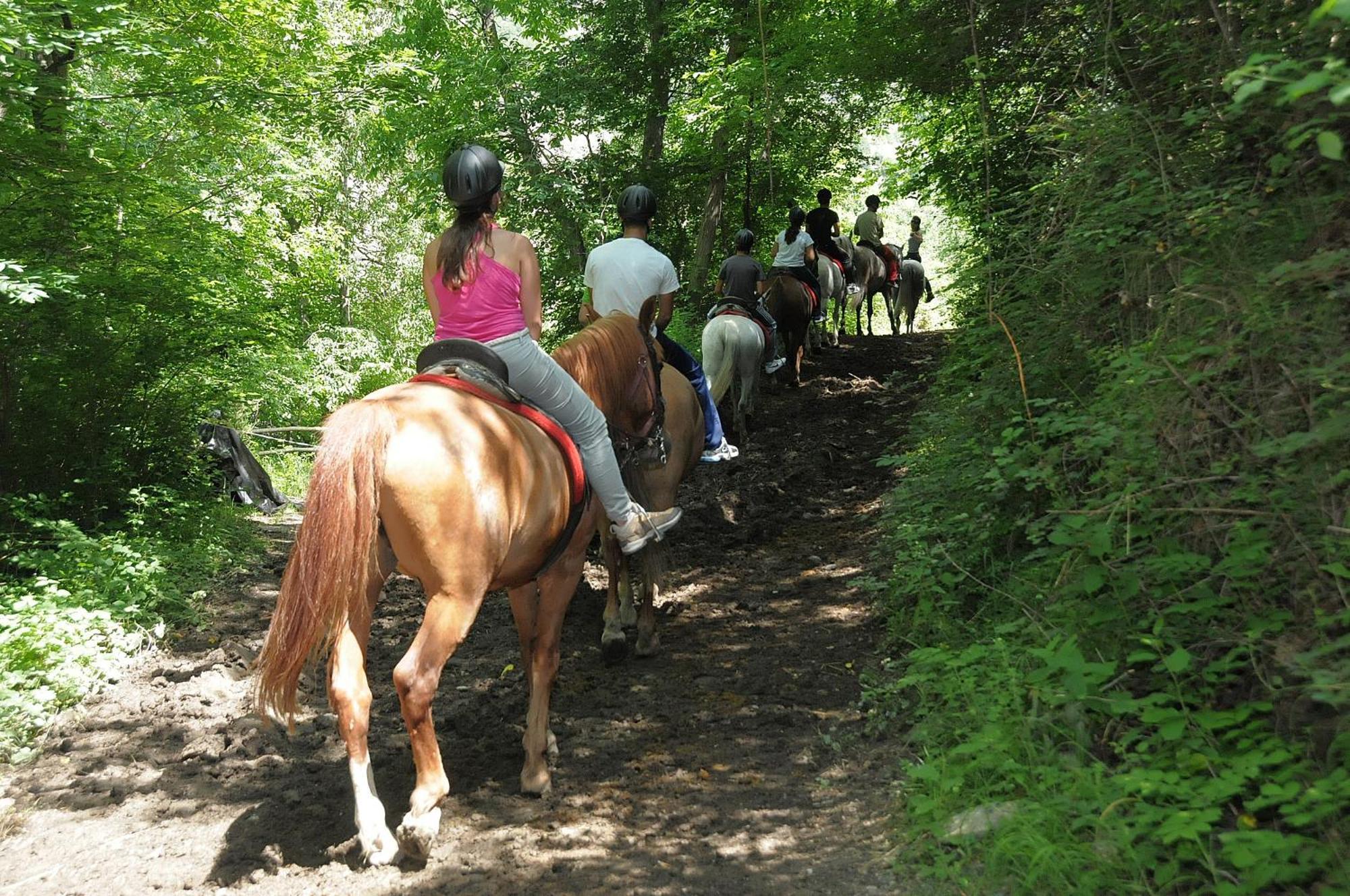 Camping Llavorsí Zewnętrze zdjęcie